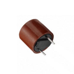 POISTKA TR5 F2A/250V MINI...